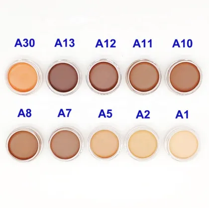 Organic Dark Color Full Coverage Foundation Cream Pro Concealer for Logo Makeup