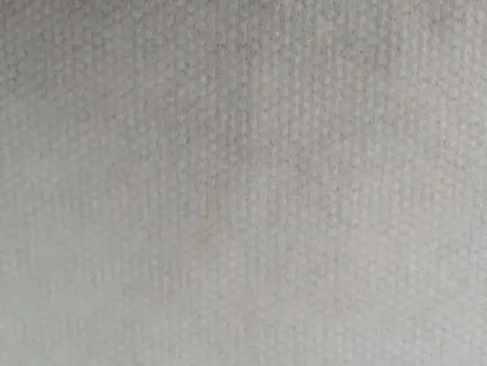 Spunbond hydrophilic non woven fabric