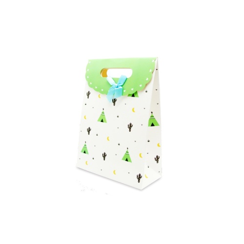 Simple pattern design paper bag
