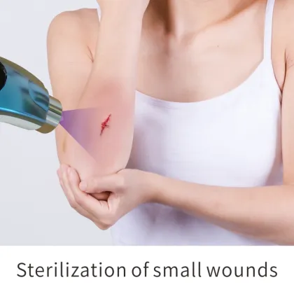 Attractive Price New Type 12v Hand Uvc Led Water Sterilizer