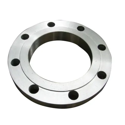 DIN 2532 2531 PN40 RJ Flanges Search