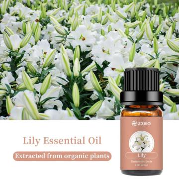 Preço por atacado a granel Natural 100% Orgânico Lily Essential Oil for Healthcare Products