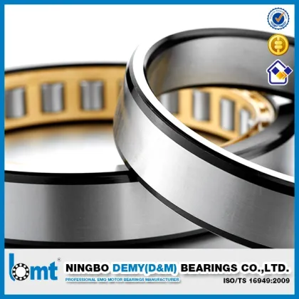Cylindrical Roller Bearings Nu305e