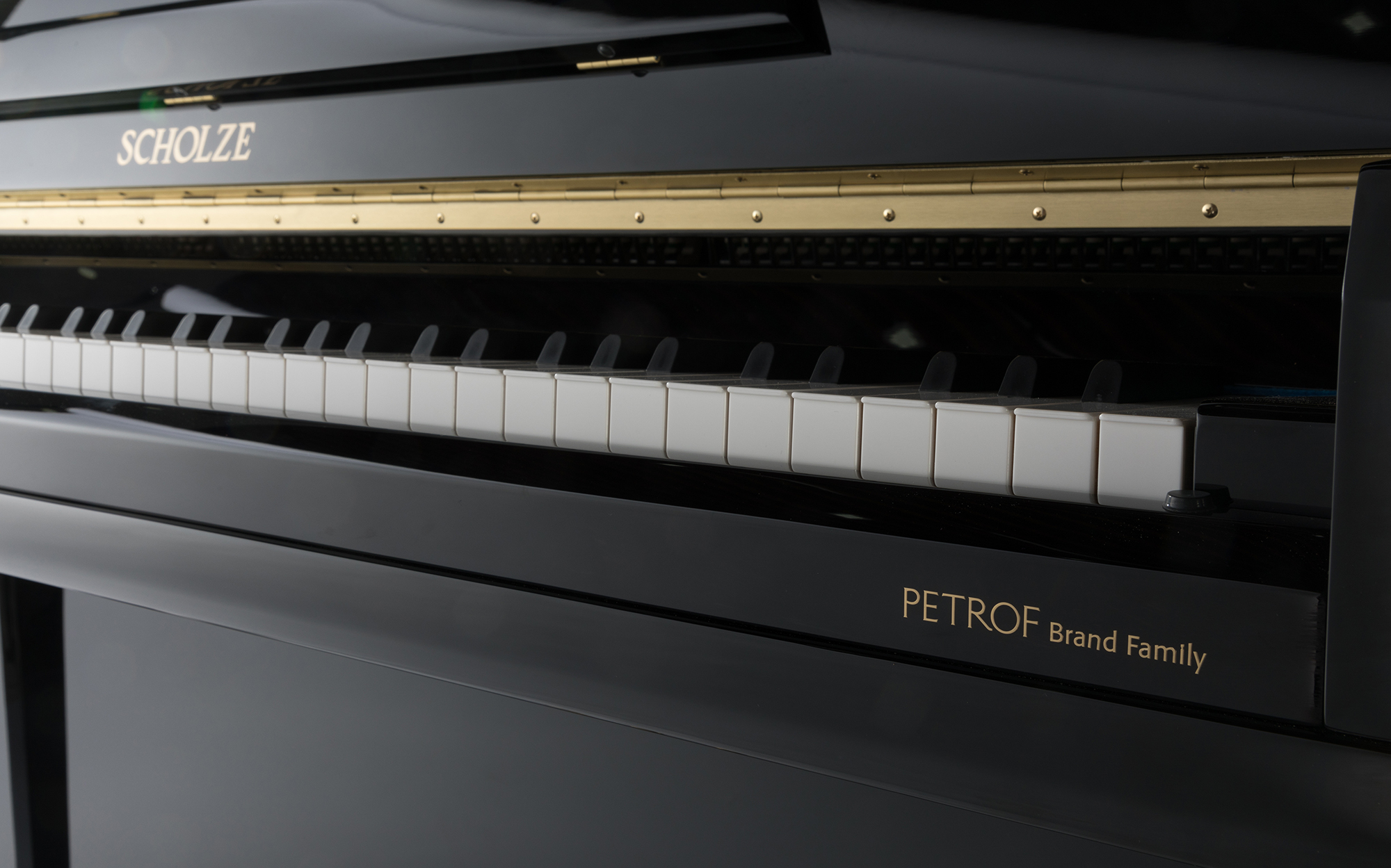 Petrof · Scholze NS-2 Piano Black Black Polished Home 122CM Petrof Craft Professional Acoustic Piano