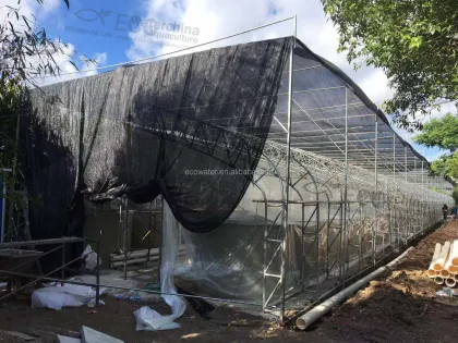 Indoor Recirculating Aquaculture System (RAS) Equipment for Grouper Fish Farming