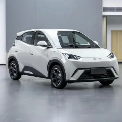 2025 BYD Seagull New Energy Vehicle: Small Adult Car Overview