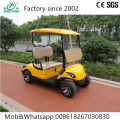 New electric 48V 4KW off road golf cart