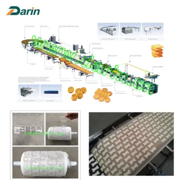 DR-300 Pet Biscuit Processing Line