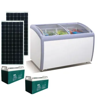 Customizable Solar-Powered 24V DC Glass Door Freezers for Shop Display: An Eco-Friendly Solution