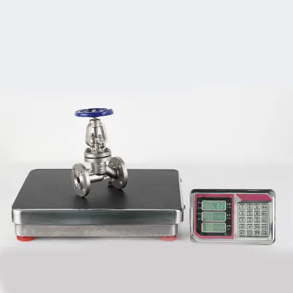 ASME titanium high pressure globe valve