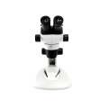 binocular stereo microscope similar SZ61 Olympus