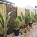 Garden Decorative And Privacy Screen Fence