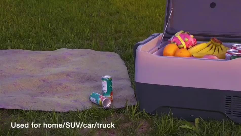 Reliable Medium Size Car Refrigerator for Travel