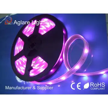 Chasing Falling Snow Tube Light