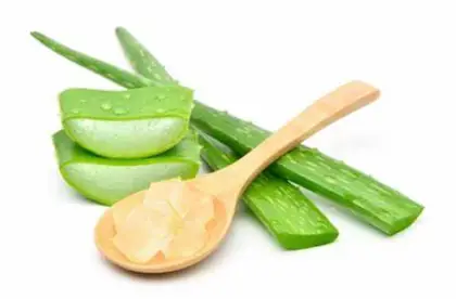 Natural Aloe Vera Extract Powder