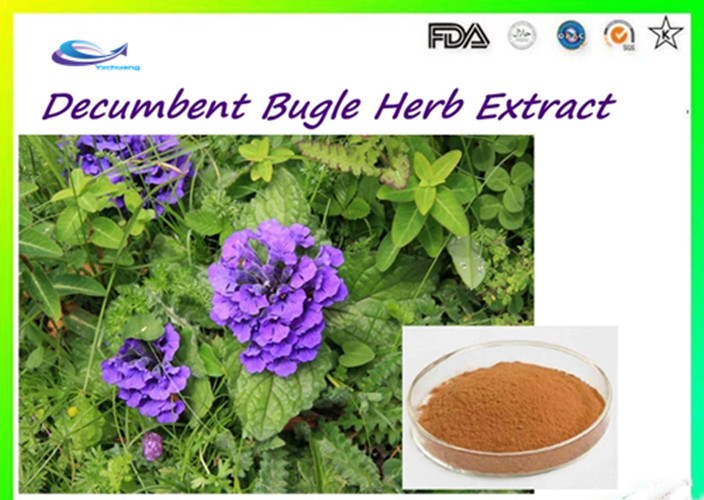 ajuga turkestanica extract dosage