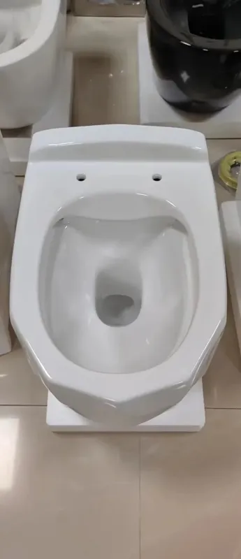 Luxury Wall-Hung Toilet