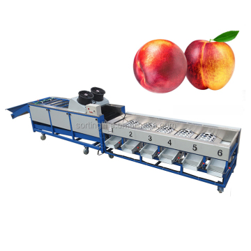 304 Stainless Steel Automatic Fruit Sorting Machine for Food Processing