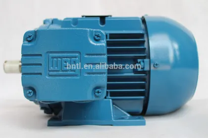 Customized WEG Brand Electric Motor