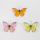 Butterfly craft decorations
