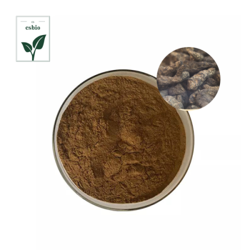 Radix Rehmanniae Preparata Extract