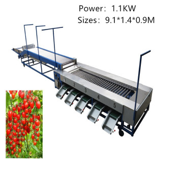 Máquina de classificação de frutas Máquina de classificação de tomate cereja