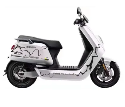 gas scooters new citycoco electric scooter 2 wheel