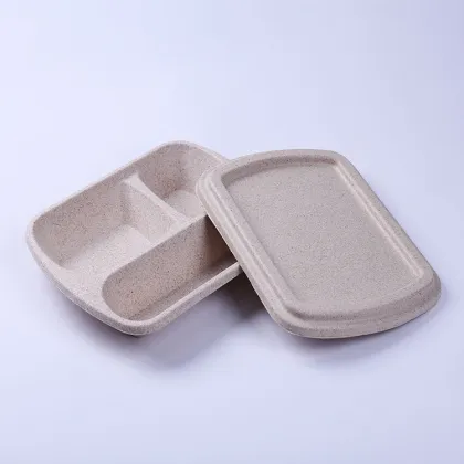 Disposable Molded Pulp Packaging Box Food Lunch Box