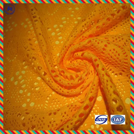 Weft Knitting Nylon Spandex Fabric for Making Swimwear
