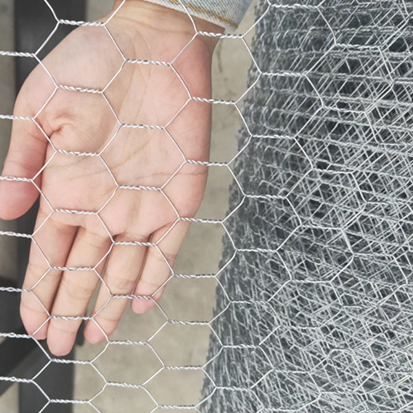 Clôture en maillage hexagonal galvanisé pour les cages animales