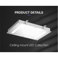 Stainless Steel Ceiling Mounted LED Rain Shower Head