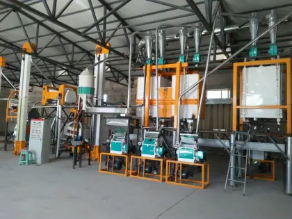 Wheat Flour Mill Machinery: 30T Wheat Flour Plant