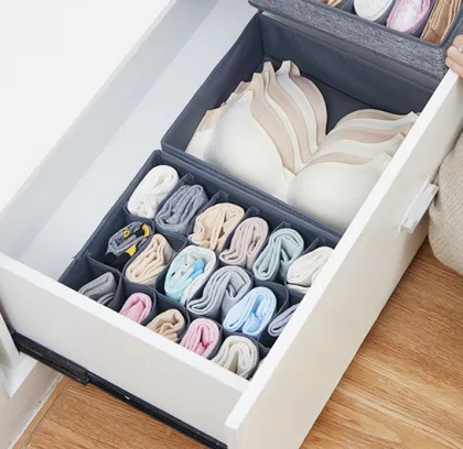 Lingerie Closet Underwear Organizer