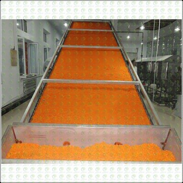 Innovative High Efficiency Belt Drying