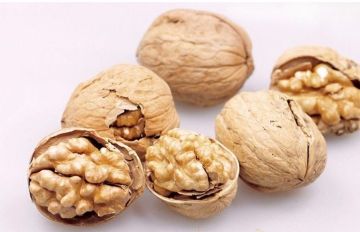 High quality  walnut or  walnut  oil