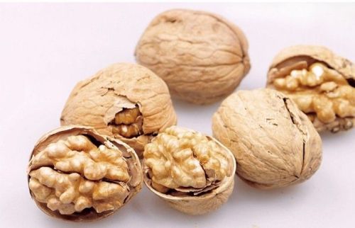 Walnut berkualiti tinggi atau minyak walnut