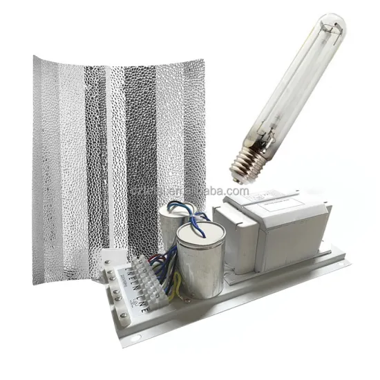 Wholesale 600W HPS Magnetic Ballast for Grow Light Kits