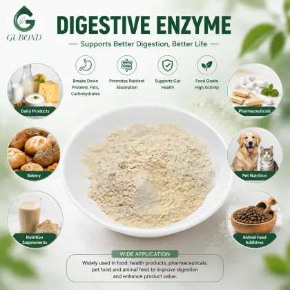 Digestive Enzyme Complex Digestive Health Nutritional Supplements