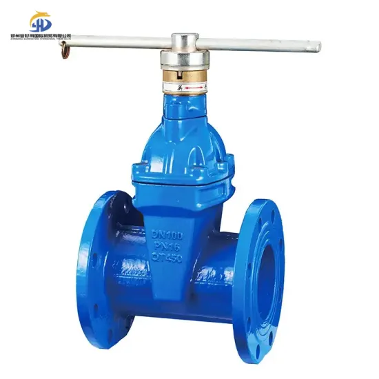 Magnetic Locking Flange Gate Valve