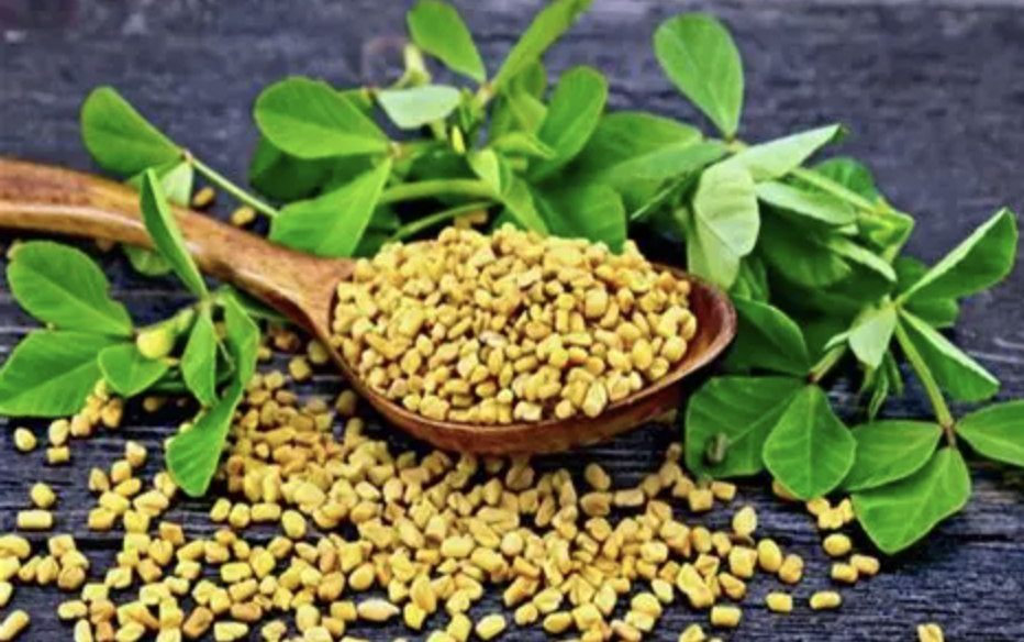 Fenugreek Seed Extract