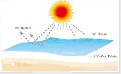 ergothioneine anti-uv