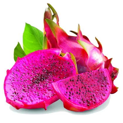 Water Soluble Fresh Dragon Fruit Powder Fruit Powder