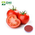 Polvo de jugo de fruta de tomate