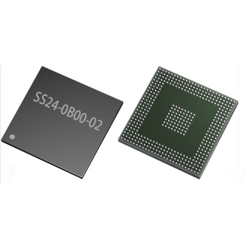 Chiplers IC Chip SS24-0B00-02