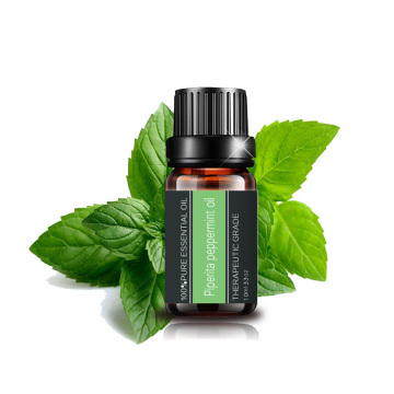 100% Pure and Natural Peppermint Oil High Quality