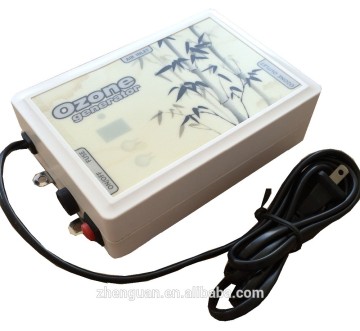 Mini Portable Household 110V Ozone Generator FM-300S Water Air Purifier