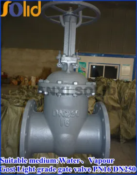 PN16,DN250 Gost gate valve