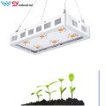 800w 8bar new designer dimmer grow light bars