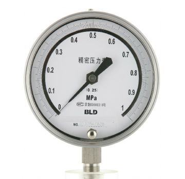 All Stainless Steel Test Pressure Gauge