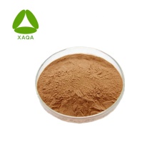 Natural Alfalfa Extract Saponins / Medicago sativa Powder